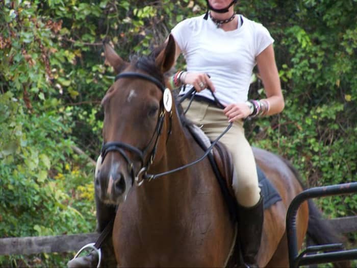 Kemerton and I leaving the ring after a dressage test at one of our home shows, he looks tired!