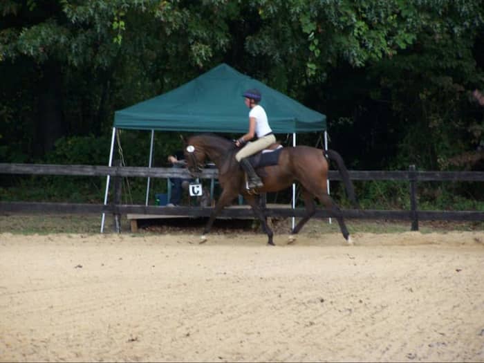 My personal horse, Kemerton, had a long racing career, and then I used him for dressage and eventing. Before retiring, he required a lot of supportive care.