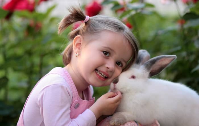 Дети любят и наслаждаются кроликами, но могут случайно поранить этого питомца объятиями, игрой или неправильным подъемом.  Контроль взрослых обязателен.