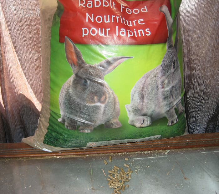Гранулы для кроликов - желанное лакомство для любого кролика.