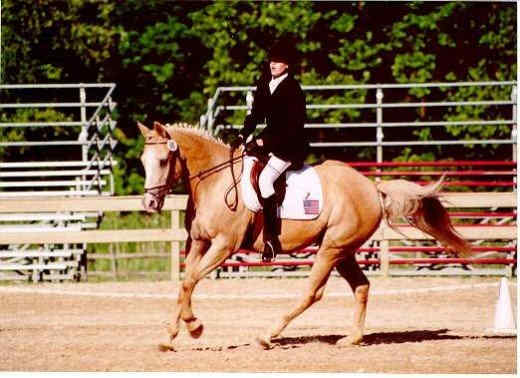 Me and Cory—one of my heart horses. From trail horse to dressage championships, we did it all! May he rest in peace!