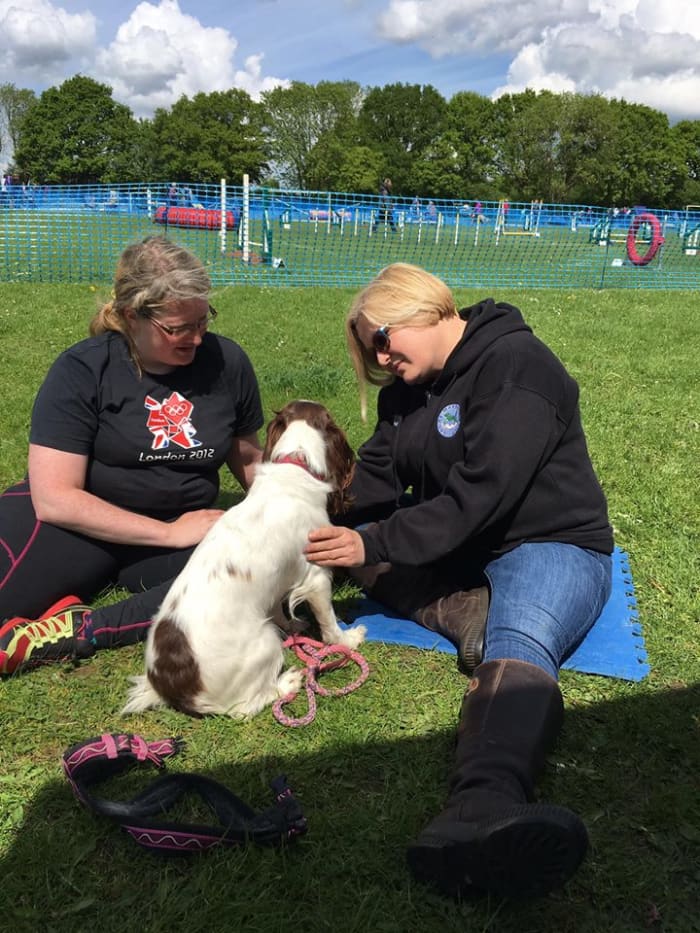Adult dogs who adopt the puppy sit should be looked at by a vet, who will often refer them to an outside specialist, such as a physiotherapist.