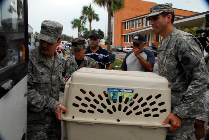 Американский летчик и солдат несут переноску для домашних животных в автобус в средней школе Болл в Галвестоне, штат Техас, во время эвакуации из района после урагана Айк 14 сентября 2008 года.