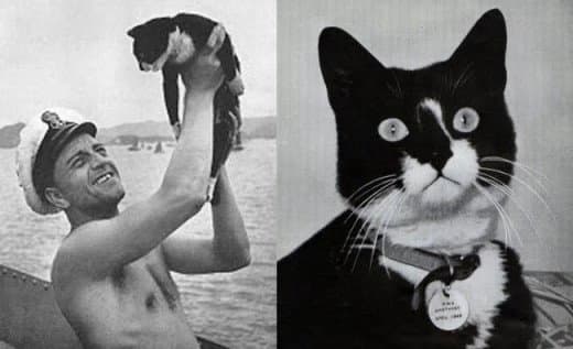 Unsinkable Sam, the cat who served on and survived three sinking ships during WWII.