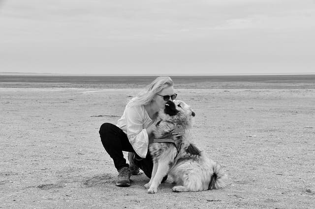 This dog doesn't seem too happy in being hugged and kissed. Notice the body pulled back,ears flat, tongue flick and there seem to be whale eyes.