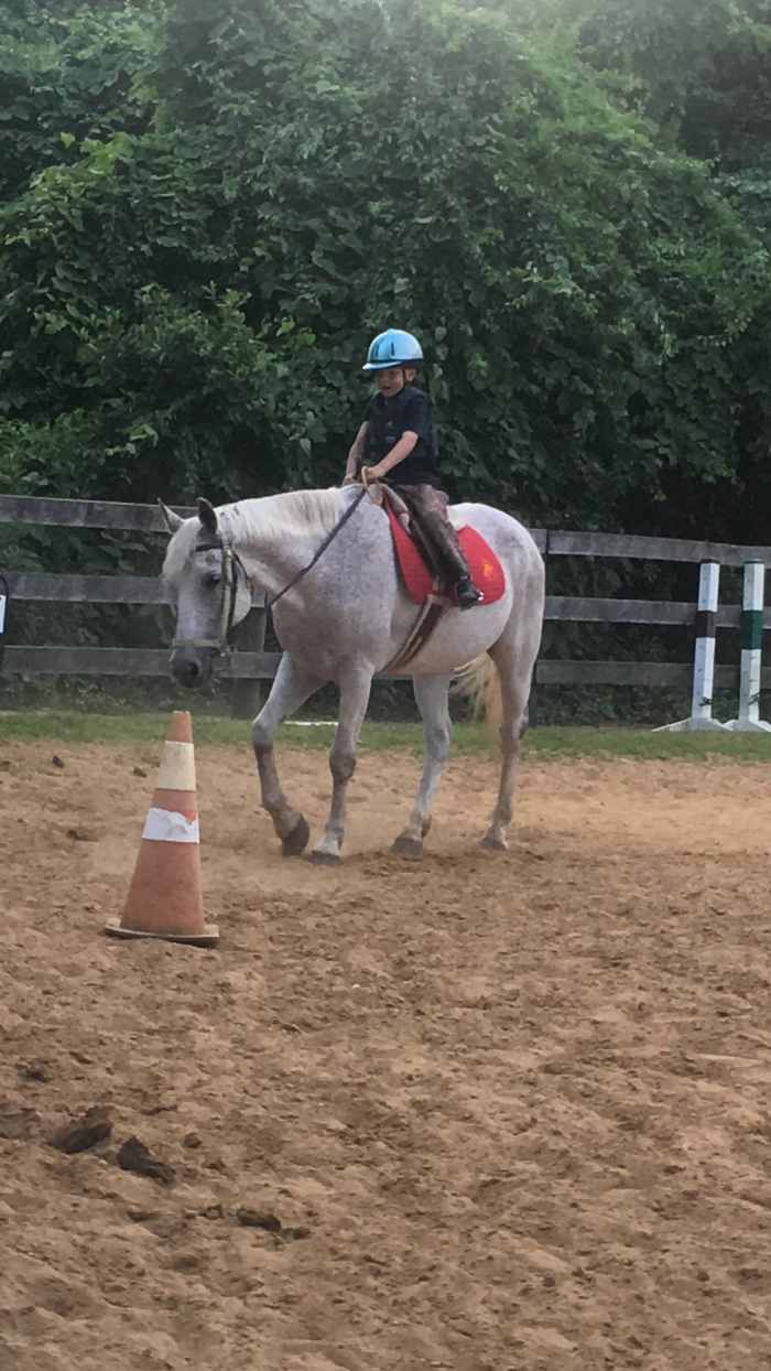 Mounted Games in Horseback Riding Lessons for Fun and Learning PetHelpful