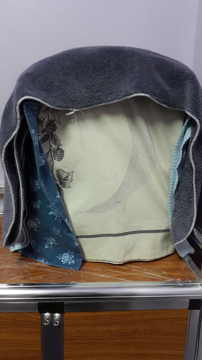 Warmth is essential for a lovebird chick's growth. Also, it is important to keep your pets warm during winter.