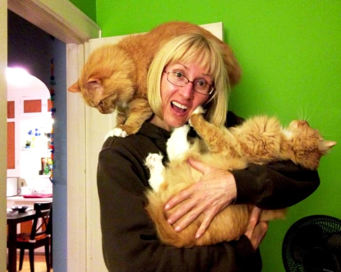 If you grow 'em big at your house, learn to balance multiple cats with Calisthenics for Cat Ladies. You'll look great, and your cats will thank you!