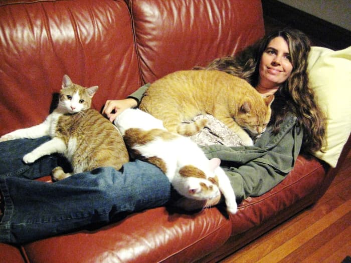 Who needs a blanket when you have friends? Lots and lots of furry friends.