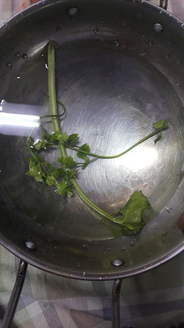 Include spinach or cilantro leaves in a water bowl so that your lovebirds get less scared of the water.