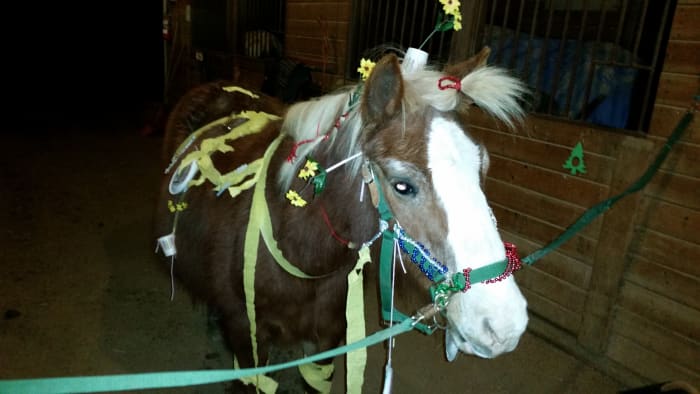 Here's one for ya, PETA. This is Huey, the best and most wonderful pony ride pony to ever walk the earth. He is in horsey heaven now. He loved any attention he could get, including pony decorating contests.