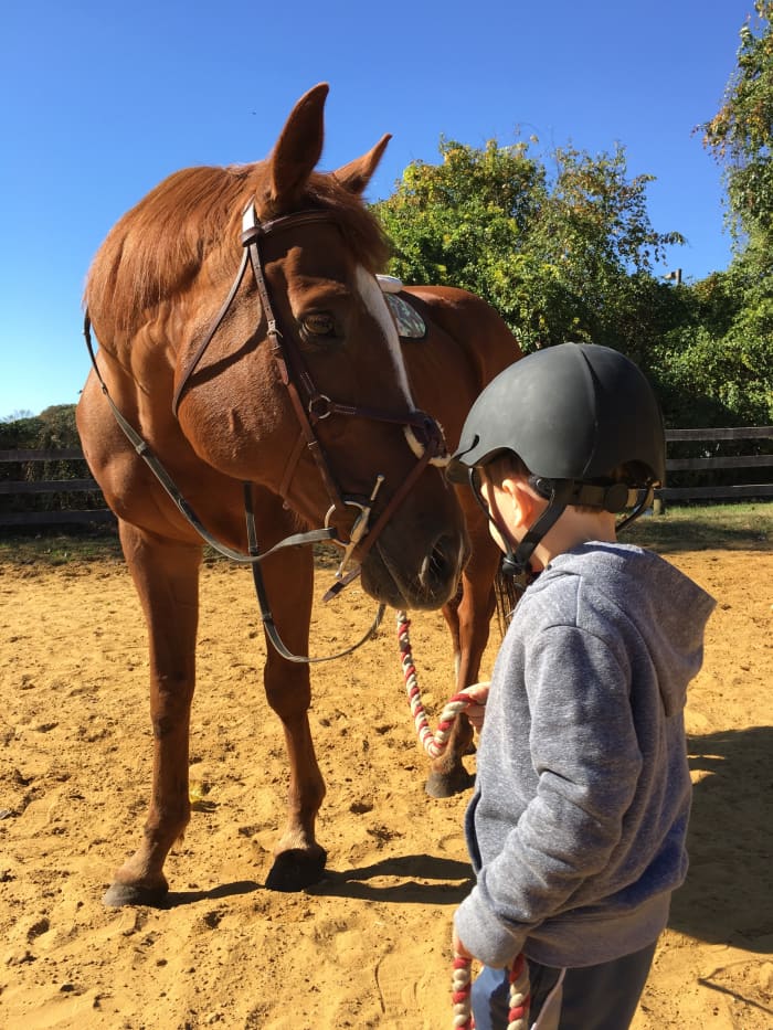 Big horse, small rider. Don't forget how it felt to be little looking up at that big old horse you are about to get on.