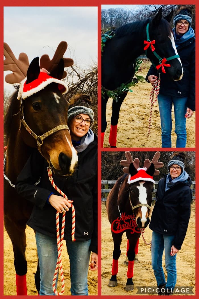 I used the pic collage app to make my card, since actually having all three of my horses in one picture just wasn't going to happen!