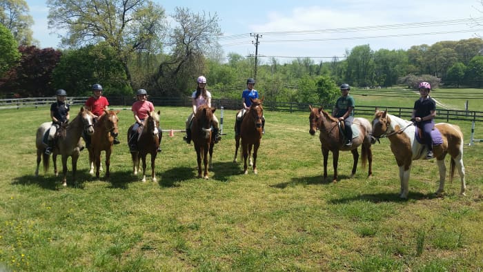 Посмотрите на этих красивых школьных лошадей и учеников в шлемах!