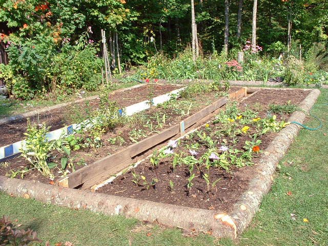 A home garden can provide healthy and tasty vegetables and can save on your grocery bill