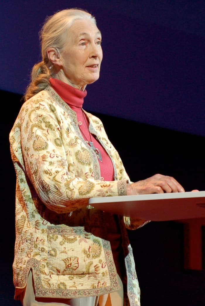 Jane Goodall giving a TED Global talk in 2007