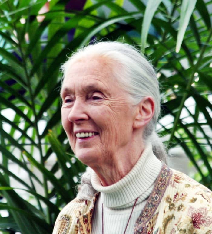 Jane Goodall as Grand Marshall at the Tournament of Roses Parade, in 2012.