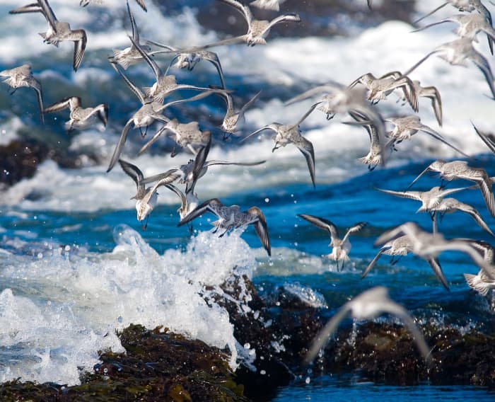 Fly, fly away. If you decide to leave, be professional about it.