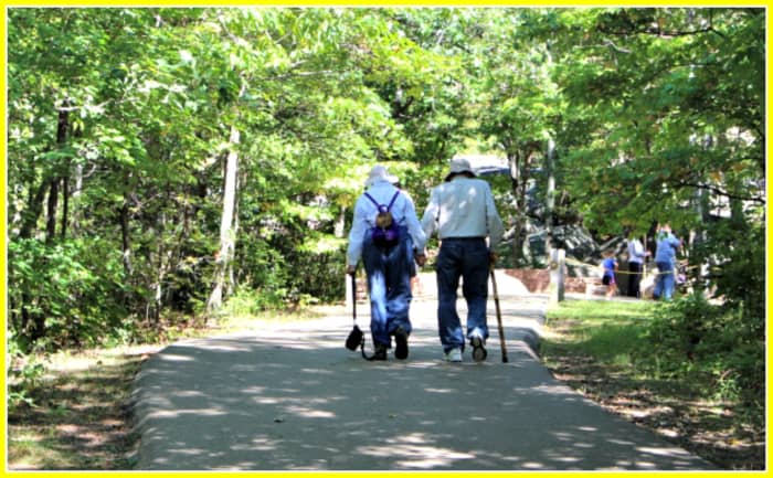 As people age, they must limit their activities to those they can do rather than to those they would like to do.
