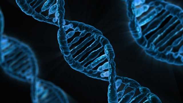 DNA offers increasing amounts of evidence.