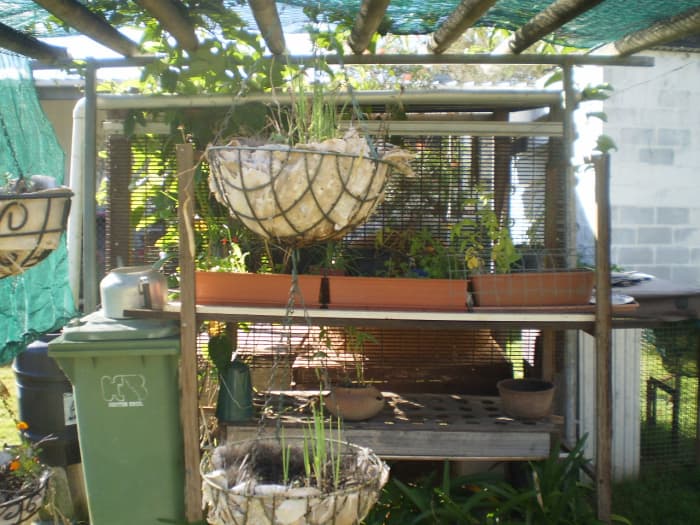 Frequent garage sales, markets, and even the tip in search of useful items for your home and garden.
