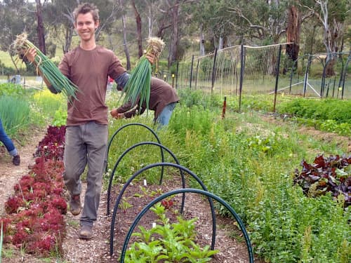 It's not as difficult as it seems to live off the grid. Here are some ways to become self-sufficient and help the environment.