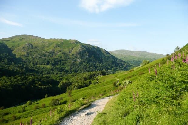 Walking in the countryside or the city is a fun activity that may be free, depending on transport requirements.