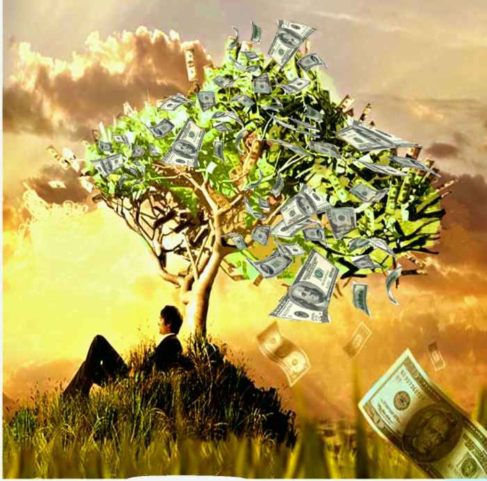 Wish it did grow on trees!!