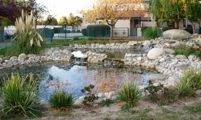 Hire good landscapers: This pond was one of the prettiest features of a potentially wonderful landscape where I used to live. The quality of the landscapers made a 100% difference.