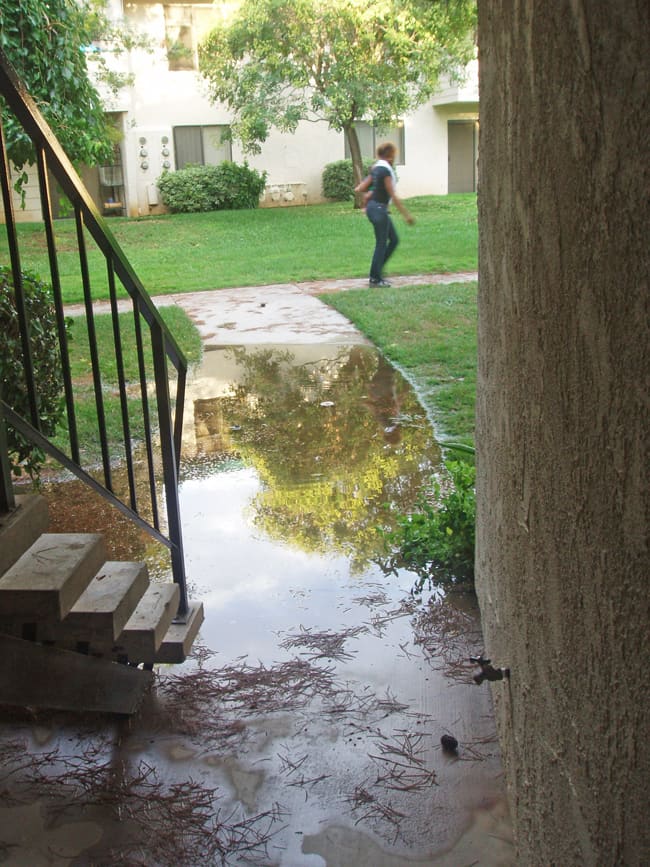Lay porous surfaces: I would have requested the laying of porous sidewalks to prevent floods like this.