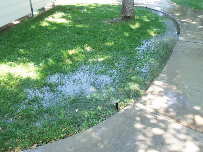 Repair breakages: This is the kind of water waste that a good landscaper can avoid, and a water use audit will catch. This puddle comes from a broken pipe underground.