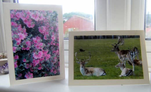 How to make greeting cards to create your own card business and sell online and at craft shows