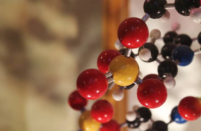 GINA prohibits employers from requesting, requiring or purchasing genetic information about their employees or their employees' family members
