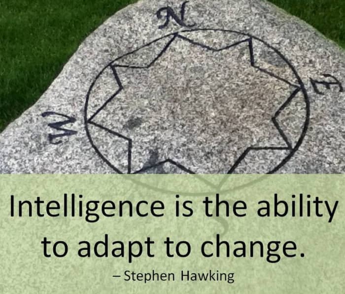 Successfully navigating a change in management at work means being open to heading in new directions.