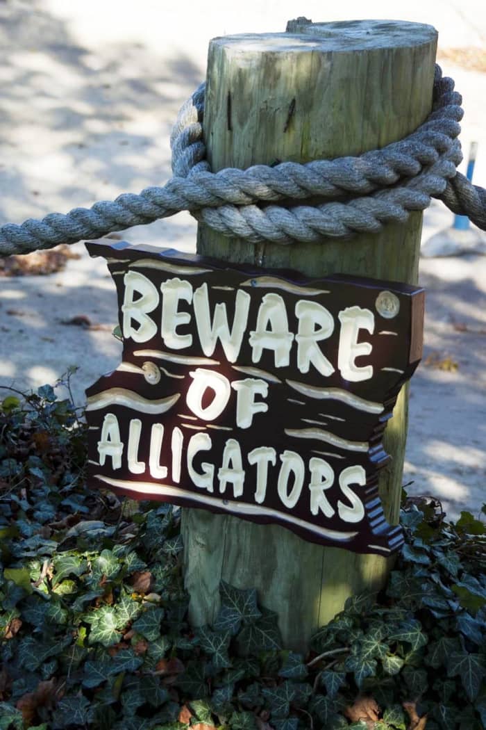 Be able to survive outside the pond by staying current in your field.