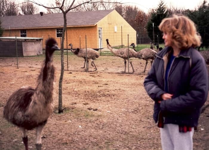 This is an emu ranch that housed multiple breeder pairs, a hatching barn and dozens of birds.