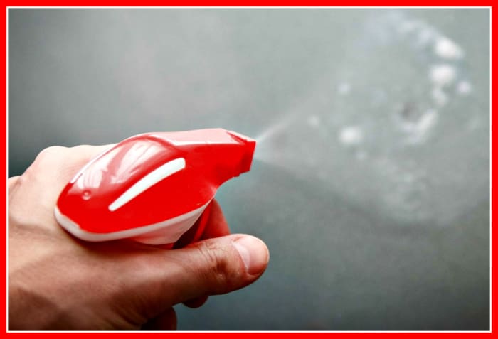 Always use ecologically friendly products when cleaning another person's home.