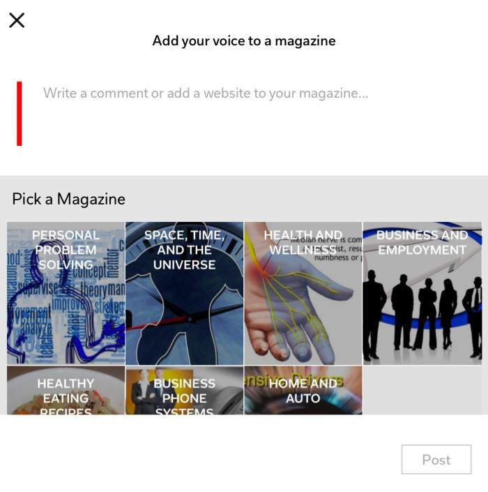 Add your voice to a magazine