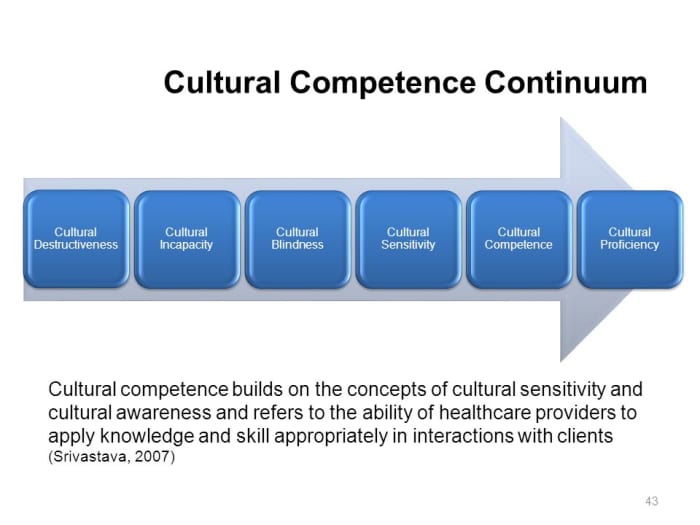 A Simple Guide to Cultural Competence ToughNickel