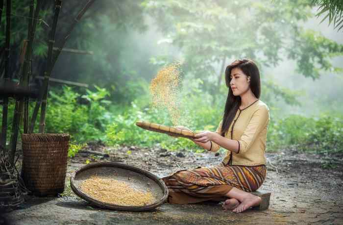 Rice. Cheap, plentiful, tasty.