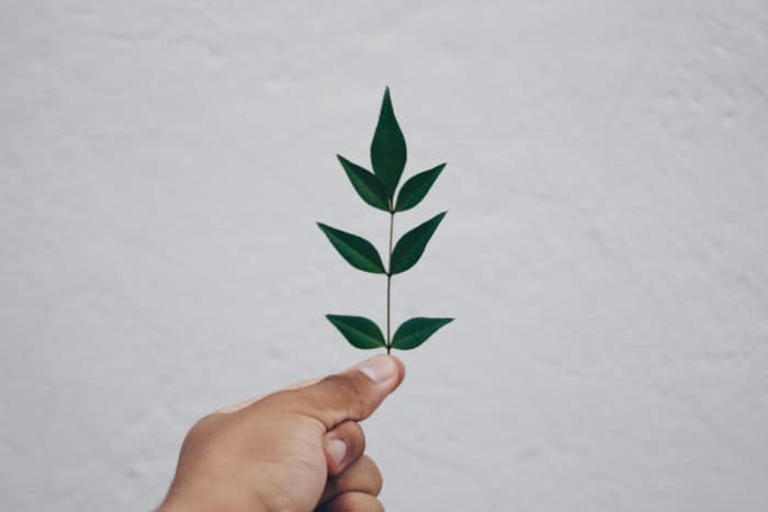 Creative ways to go green, environmental policy, and other eco-friendly topics can pay well.
