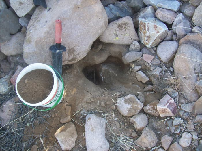 I like to use a Minelab trowel because it won't bend and it has a serrated side to saw through roots. Ad old mud bucket is the right size for sampling. If you dig, fill the holes.