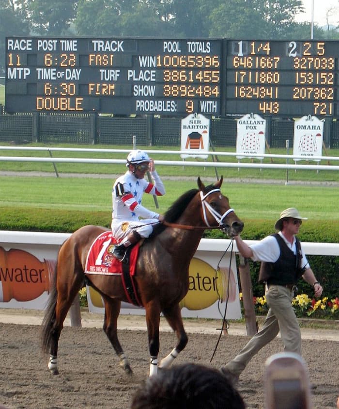 Will Big Brown endure the neck and neck battle with Amazon, or like its namesake racehorse collapse before the finish line?