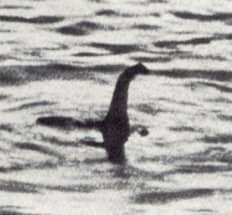 The cameras being deployed are not so fuzzy or overexposed as those used to capture other mythological beasts, such as Nessy here. No, the Postal vehicle cameras have been caught hanging in plain sight on LLV mirrors.