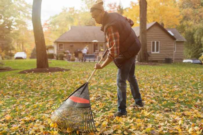 a guy raking leaves