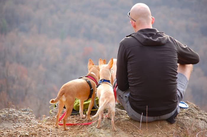 Aromantic people can still feel strong bonds, they just won't be romantic in nature. As a result, people like this often value friendships more.