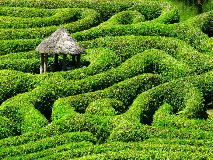 Sometimes navigating all these terms and trying to figure out your orientation is like making your way through a winding maze.