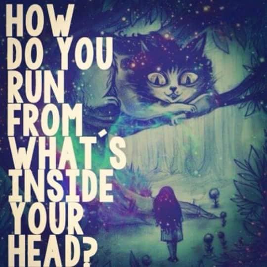 Just like the Cheshire Cat said in the book Alice in Wonderland by Lewis Caroll, it is hard for the Relationship Addict to run from the addiction that is ingrained inside their mind.