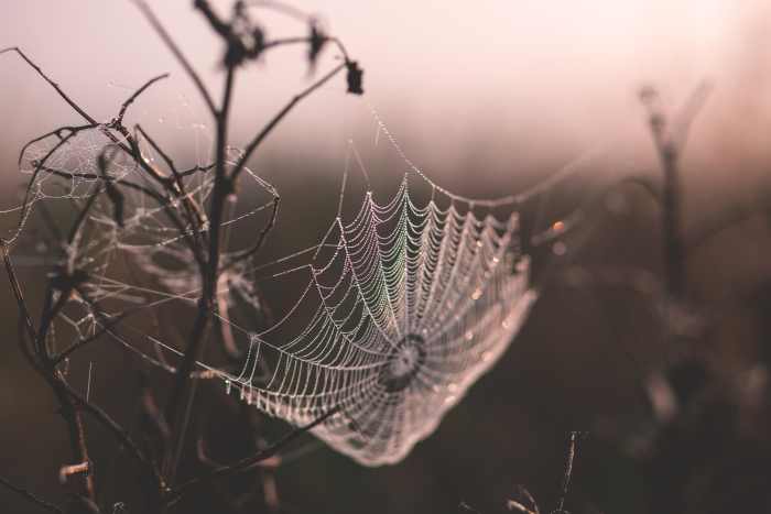 Halloween Words And Phrases