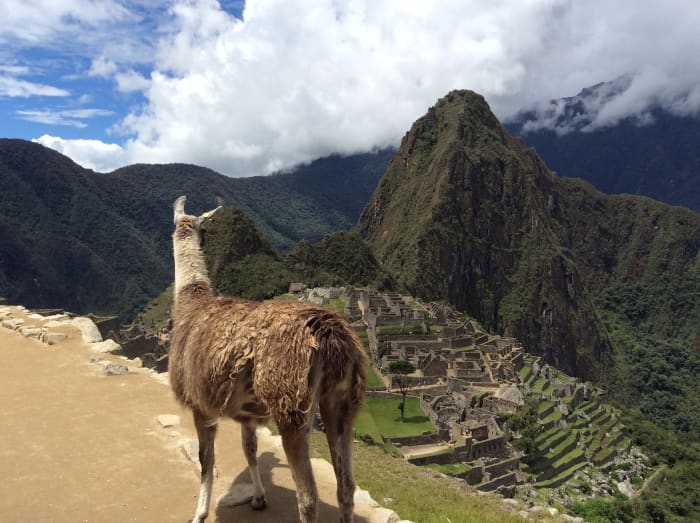 You get to choose the travel destination - though you might want to check with the kids first..